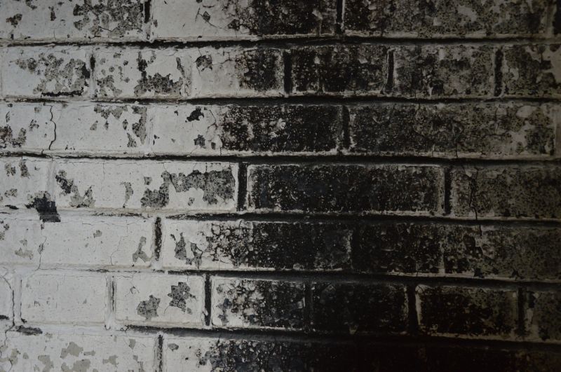 Scope of Restoration